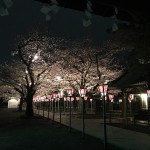 IMG_1517